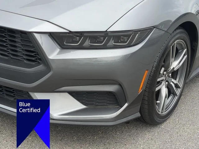 Used 2025 Gray Ford EcoBoost image 9