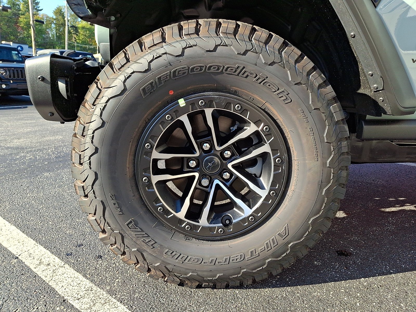 Photo 5