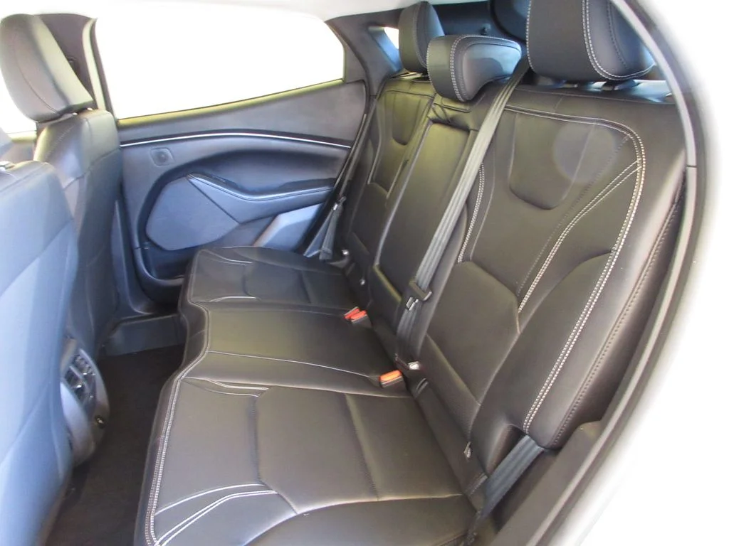 New 2026 Desert Sand Ford Premium image 24