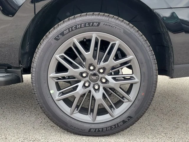 New 2026 Black Metallic Ford Platinum image 8