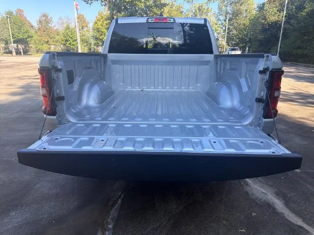 New 2027 Silver Zynith Exterior Paint RAM Express image 12