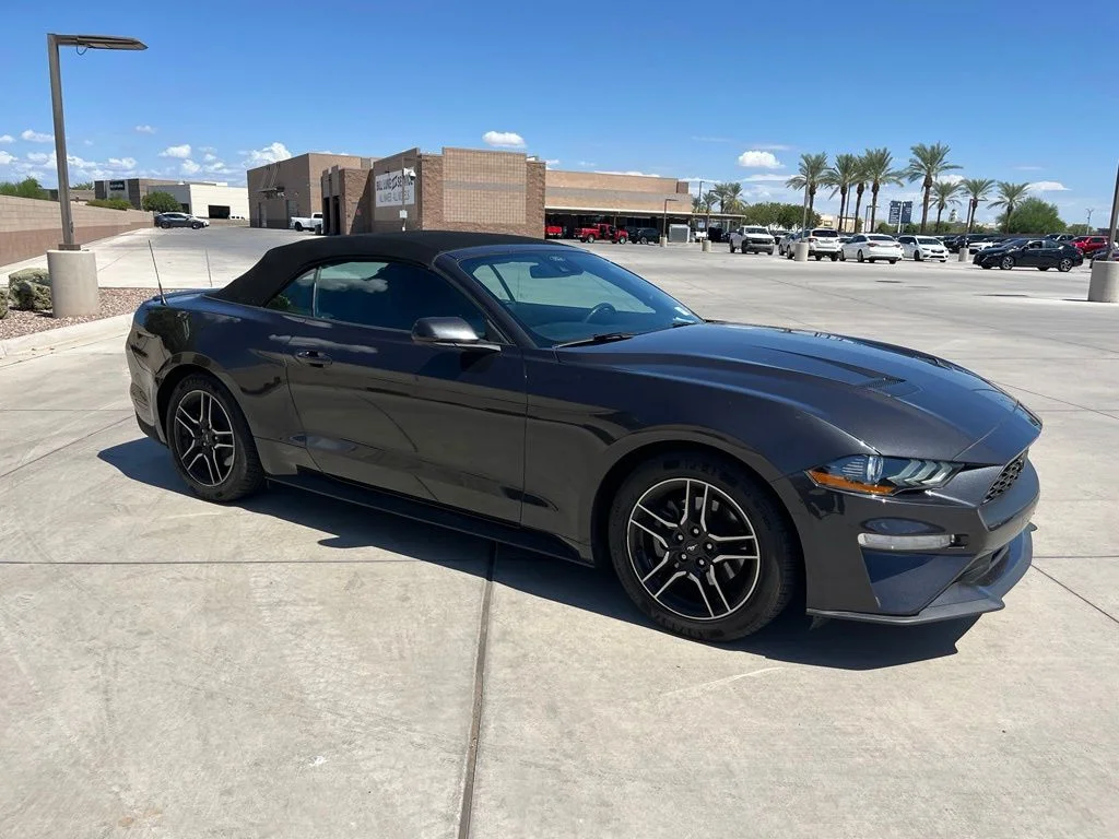 Used 2023 Gray Ford EcoBoost Premium image 4