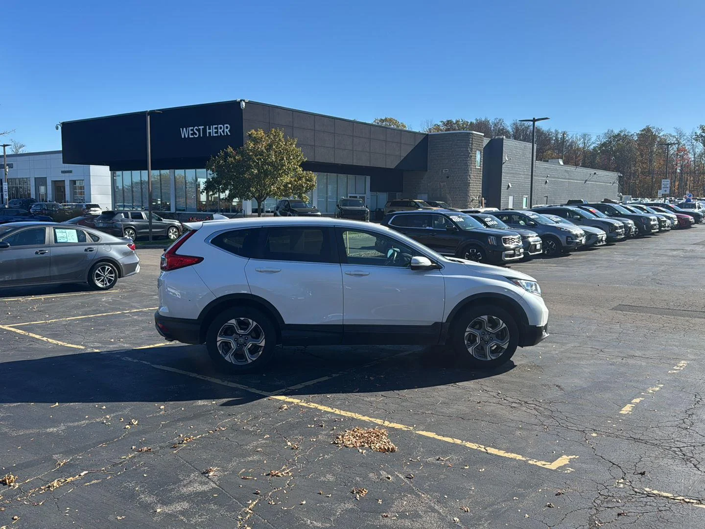 Used 2019 Platinum White Pearl Honda EX-L image 8