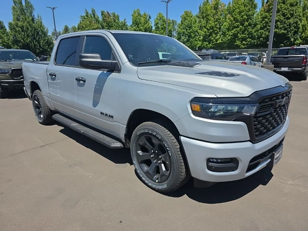 New 2026 Silver Zynith Exterior Paint RAM Express image 7
