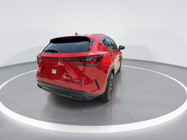 2024 Lexus NX 250 - Photo 7