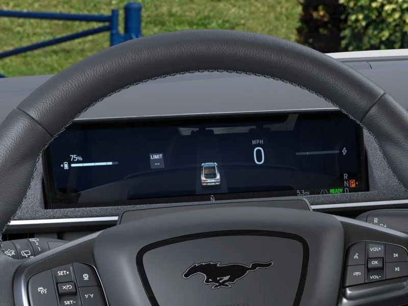 2025 Ford Mustang Mach-E GT - Photo 7