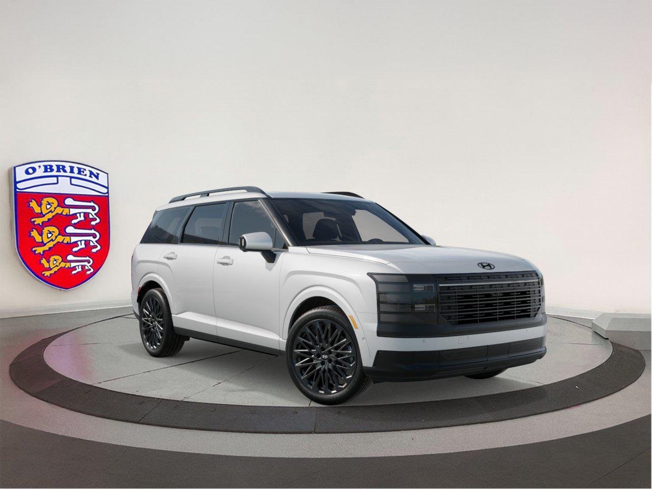 New 2027 Creamy White Pearl Hyundai Calligraphy Black Ink image 2
