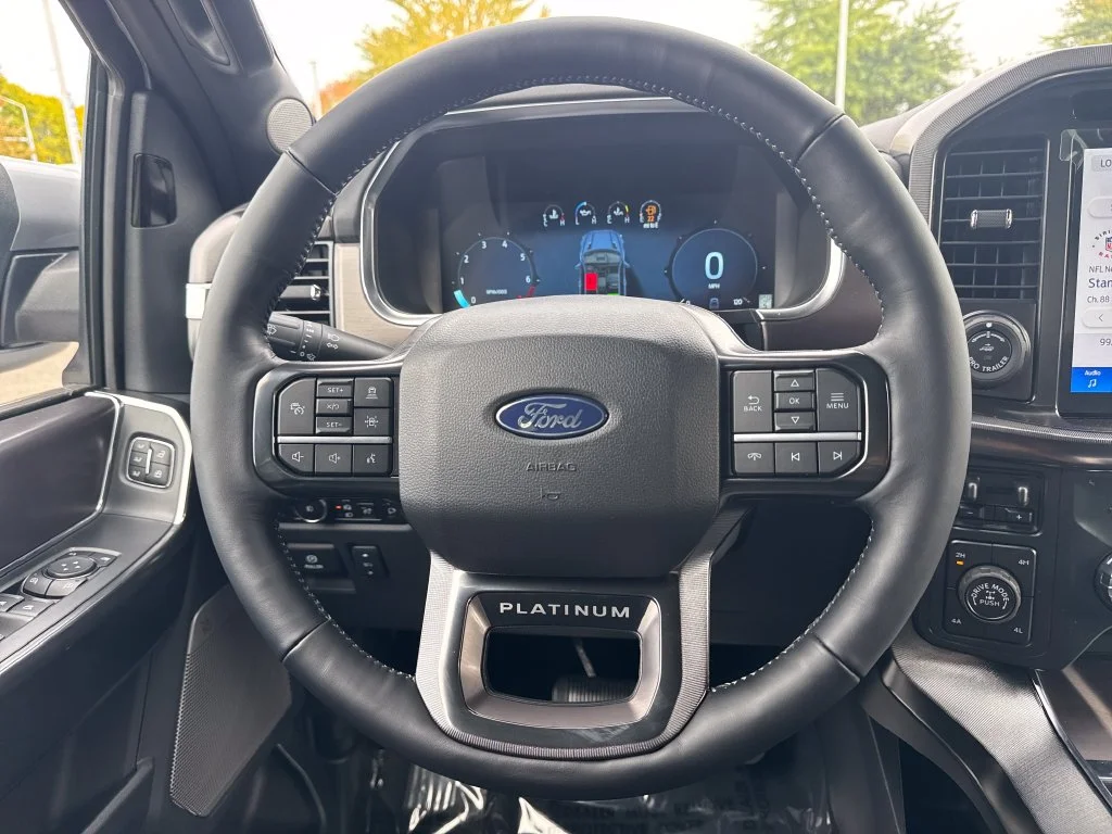New 2026 Silver Ford Platinum image 17