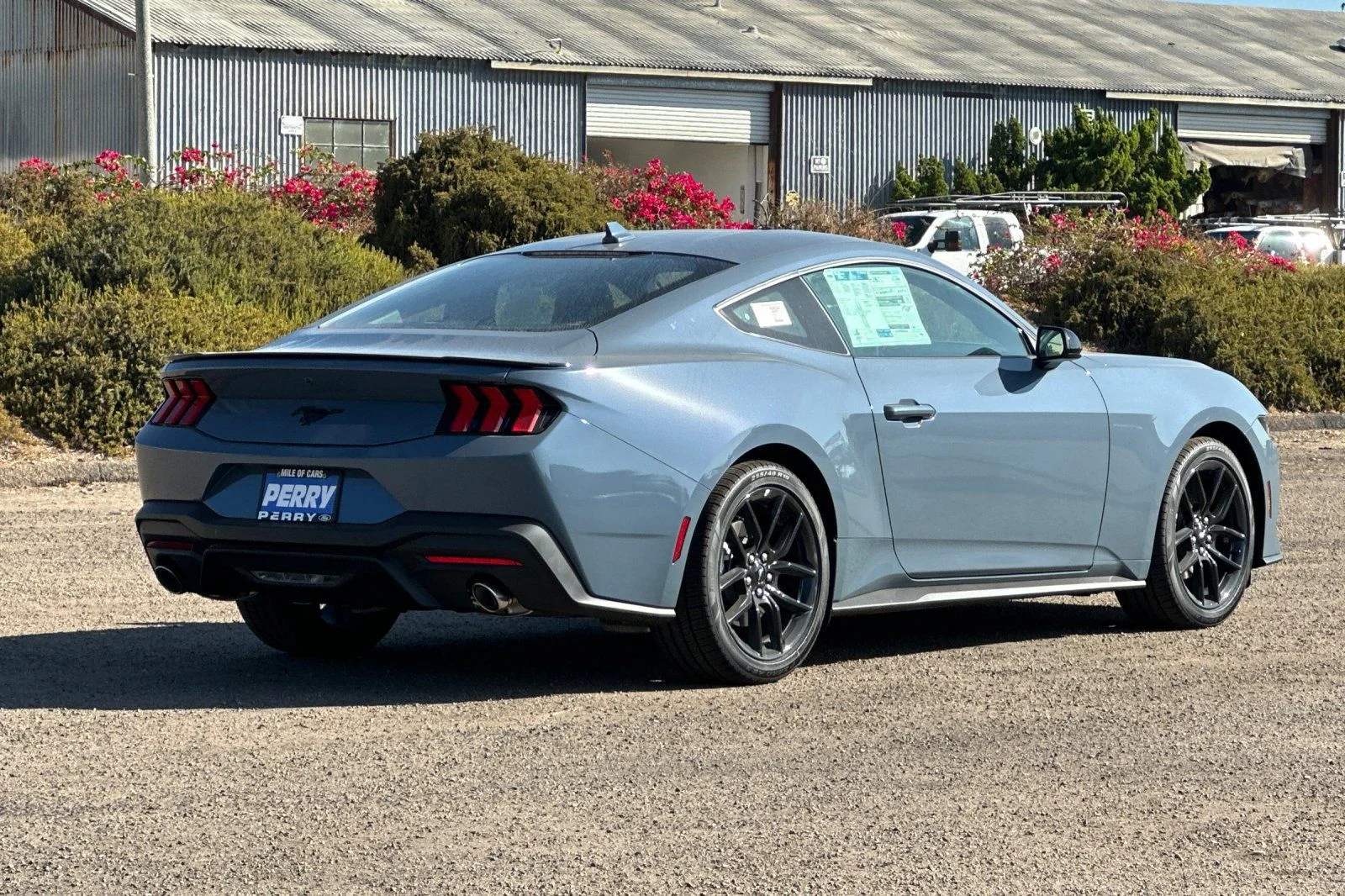 New 2026 Vapor Blue Metallic Ford EcoBoost® Fastback image 3