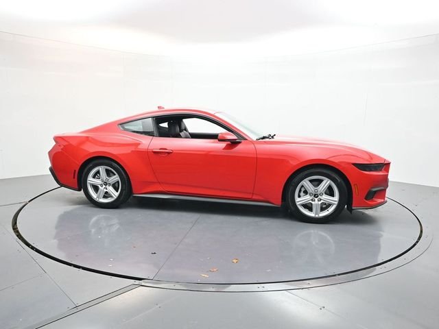 New 2026 Race Red Ford EcoBoost® Premium Fastback image 8