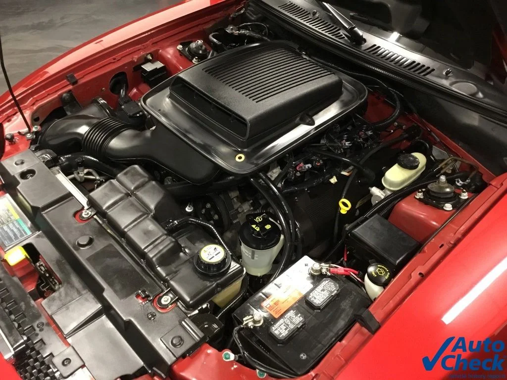 Used 2003 Red Ford GT image 33