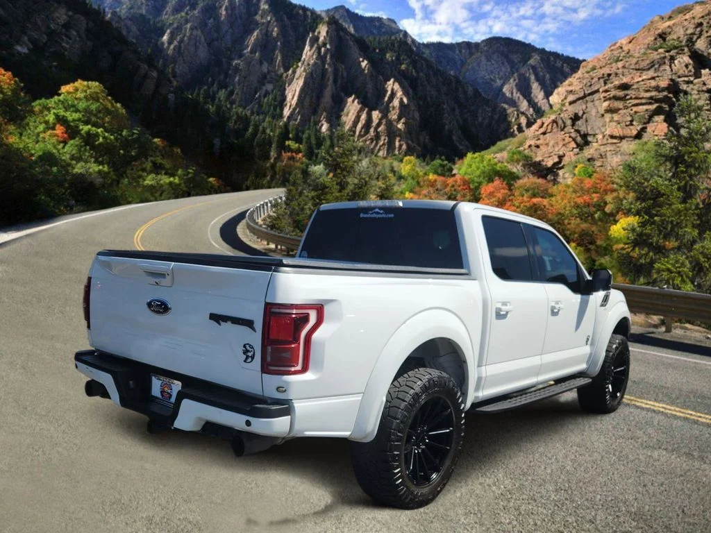Used 2018 White Ford Raptor image 3