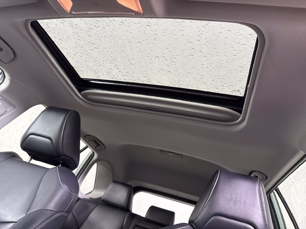 2019 Toyota RAV4 XLE Premium - Photo 22