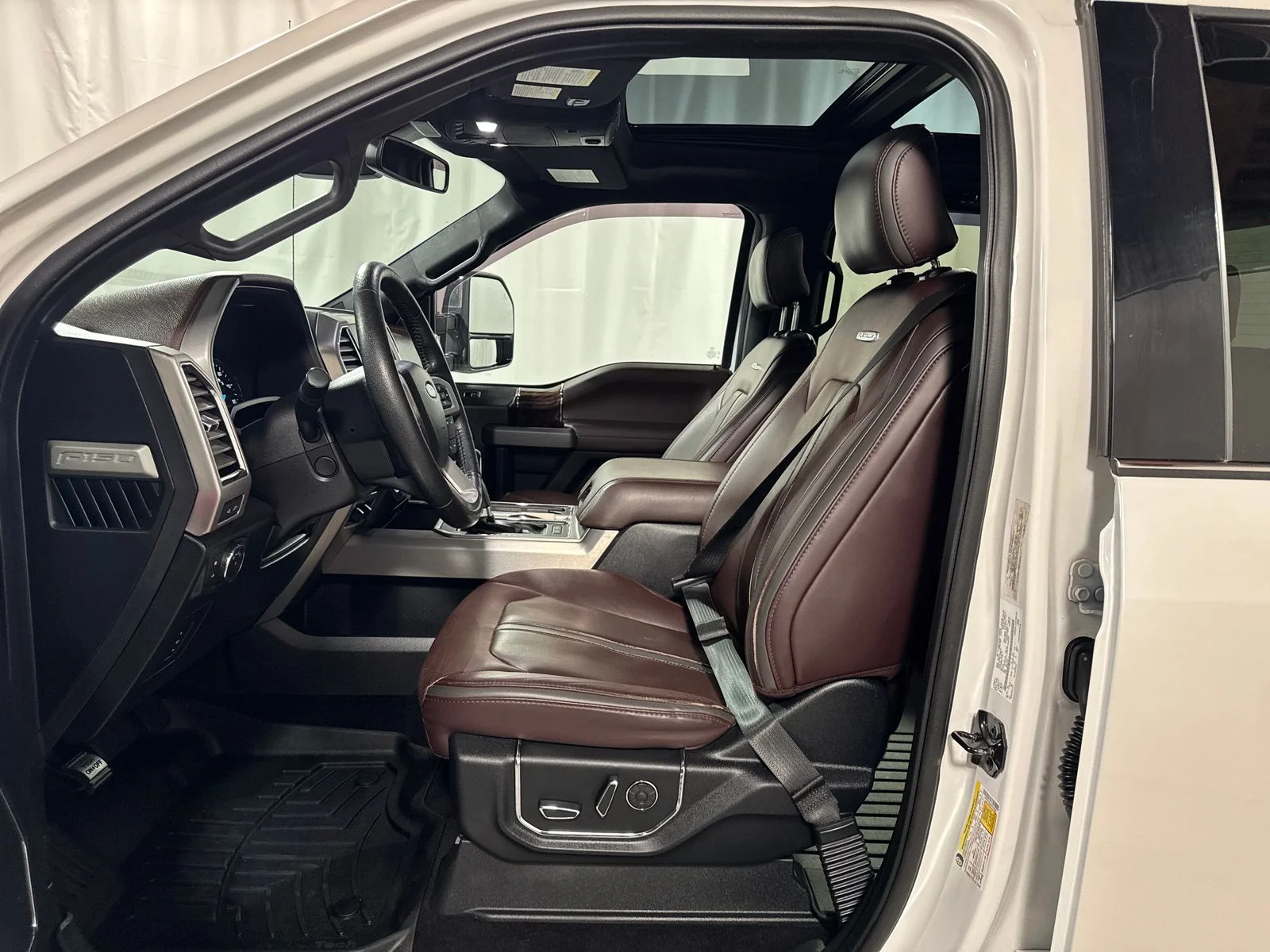 2016 Ford F-150 Platinum - Photo 3