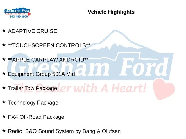 Used 2019 Ingot Silver Ford Lariat image 10
