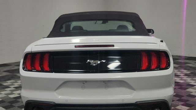Used 2023 White Ford EcoBoost Premium image 7