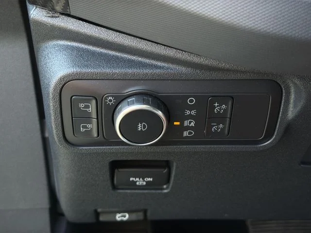 Used 2022 Silver Ford Raptor image 29