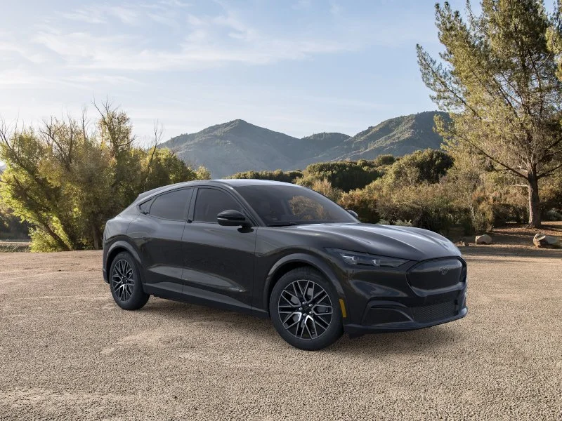 New 2026 Shadow Black Ford Premium image 1