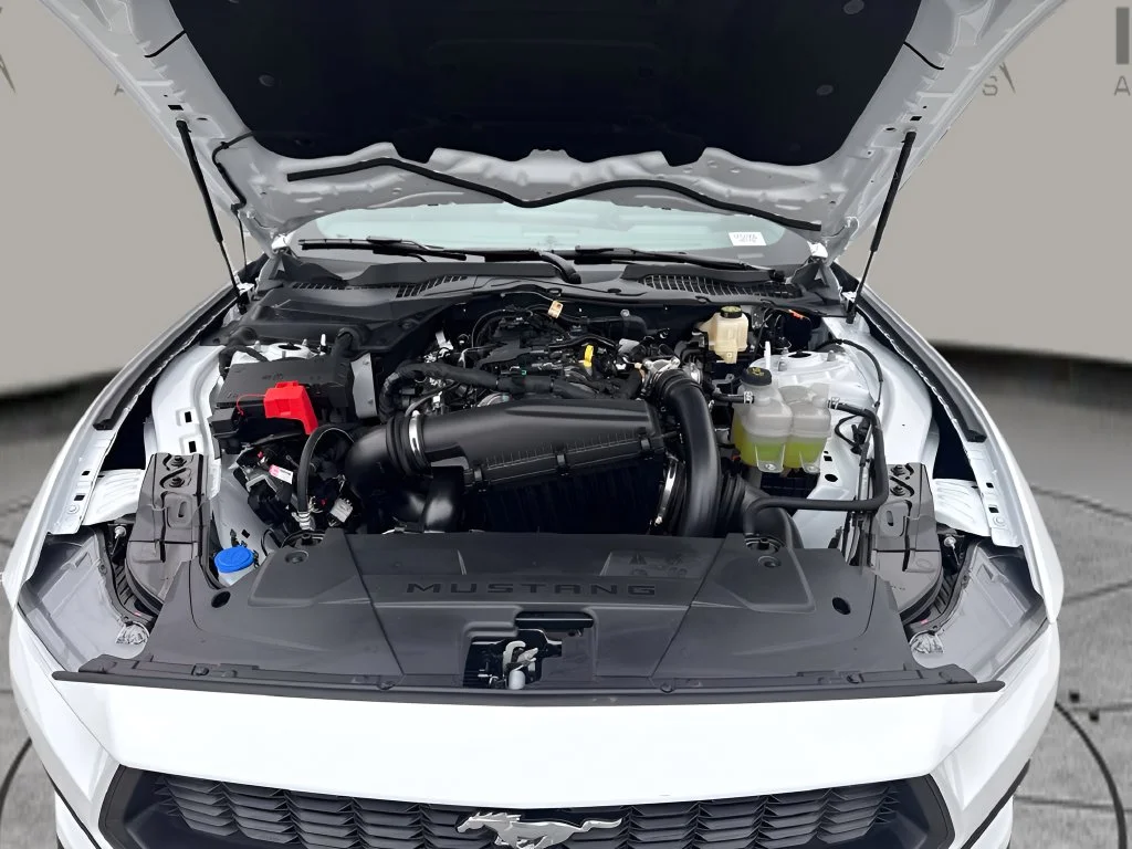 Used 2026 White Ford EcoBoost image 25