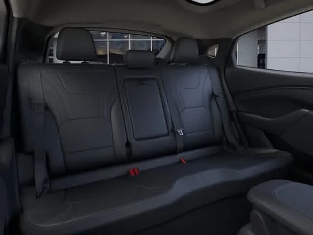 New 2026 Shadow Black Ford Premium image 14