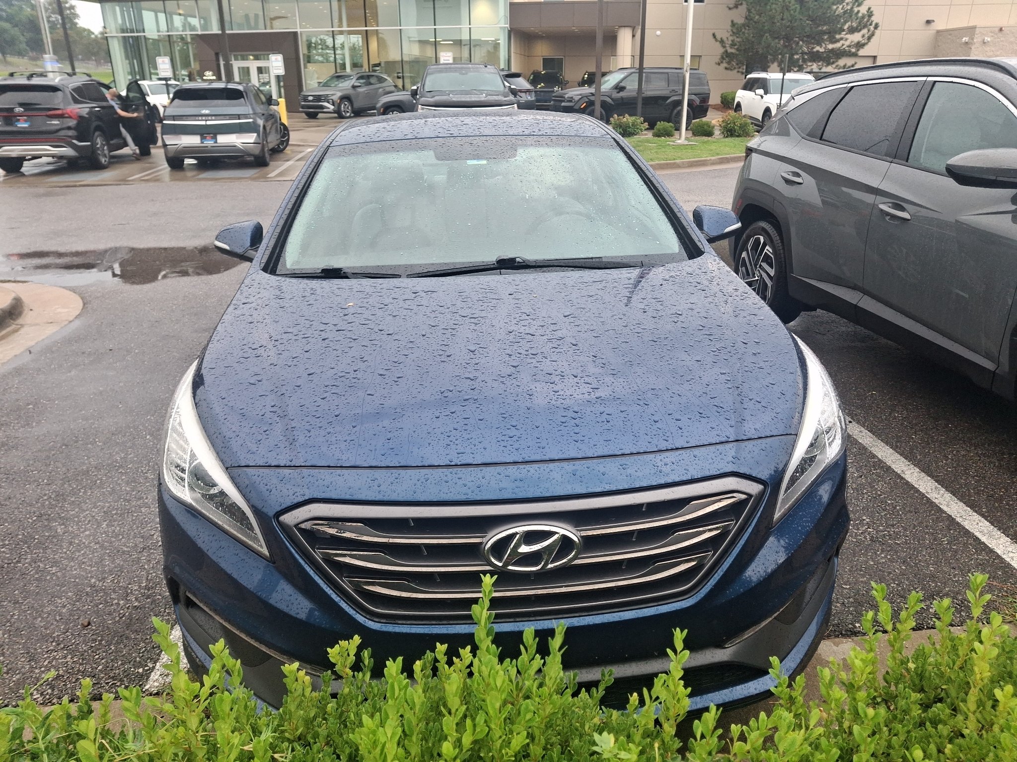 Used 2016 Lakeside Blue Hyundai 2.4L Sport image 6
