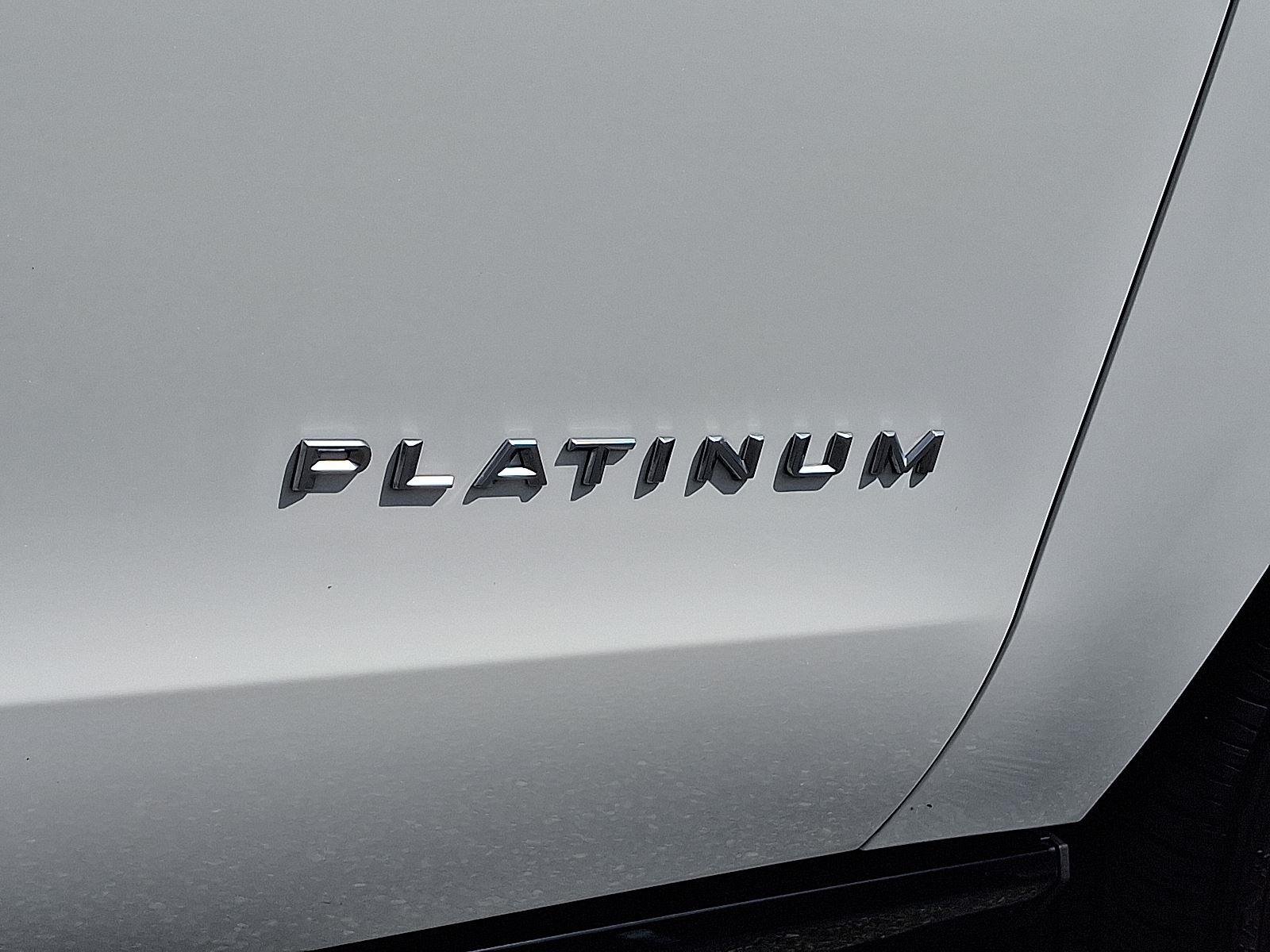2025 Ford Expedition Platinum - Photo 20