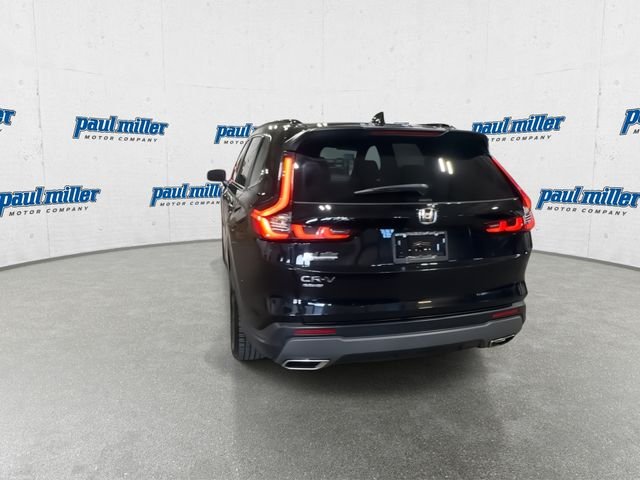 Used 2023 Black Honda Sport image 9