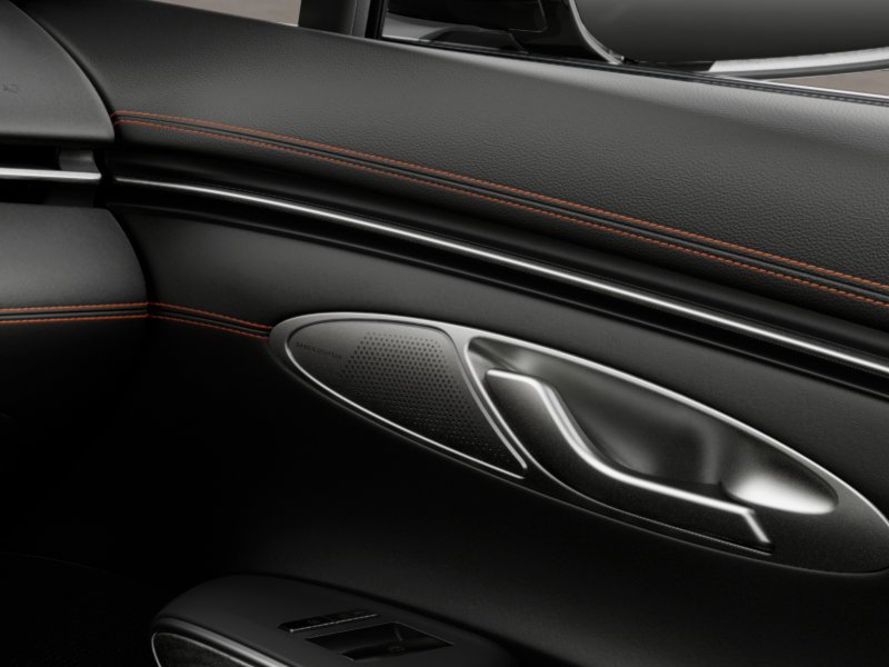 New 2026 Vik Black Genesis  image 23