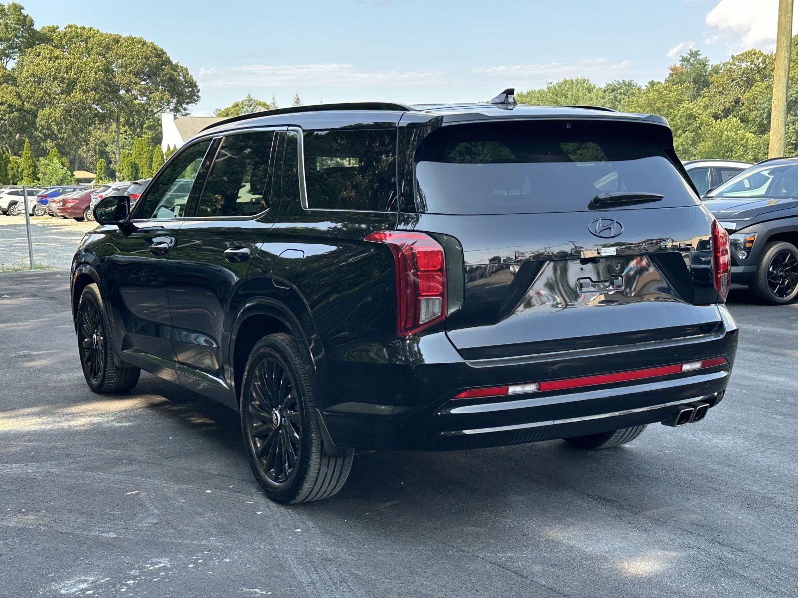 2025 Hyundai Palisade Calligraphy Night Edition - Photo 8