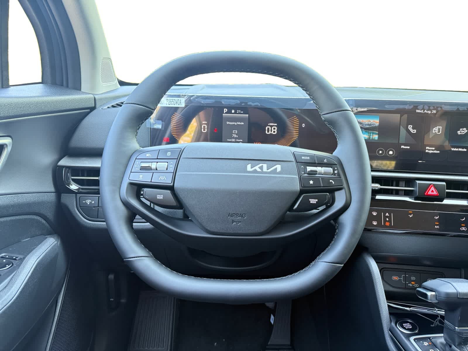 New 2026 Panthera Metal Gray Kia LX image 13