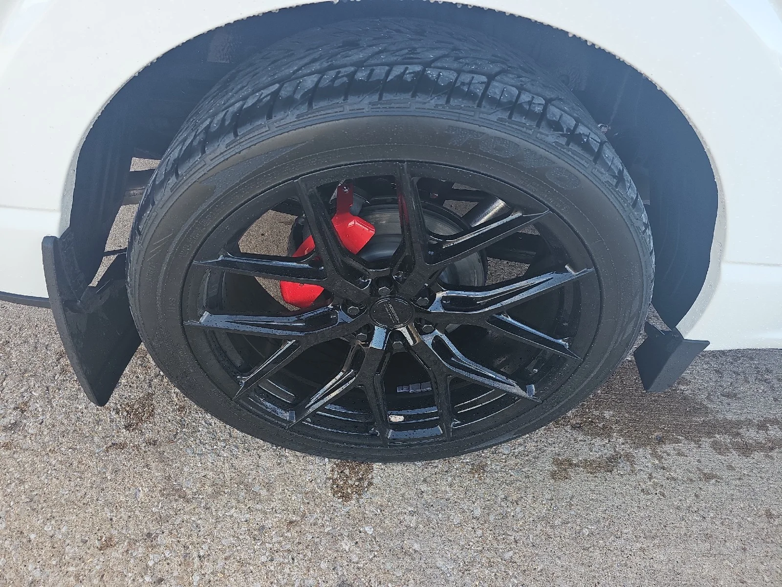 Used 2025 White Ford Black Widow Supercharged image 11