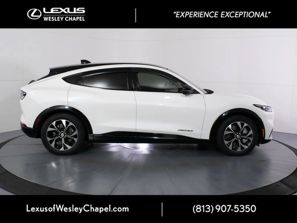 Used 2021 Ford Mustang Mach-E Premium AWD with VIN 3FMTK3SU3MMA02901 for sale in Wesley Chapel, FL