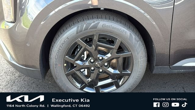 New 2026 Panthera Metal Kia SX Prestige image 8