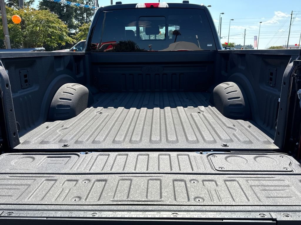 2025 Ford F-250 Super Duty Platinum - Photo 18
