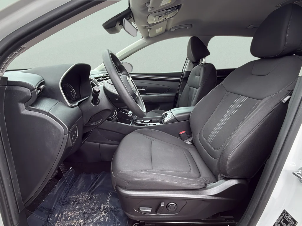 Used 2023 Serenity White Pearl Hyundai SEL image 9