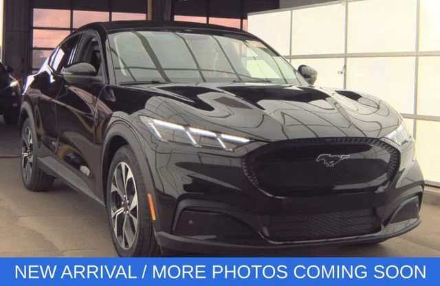 Used 2025 Shadow Black Ford Select image 7