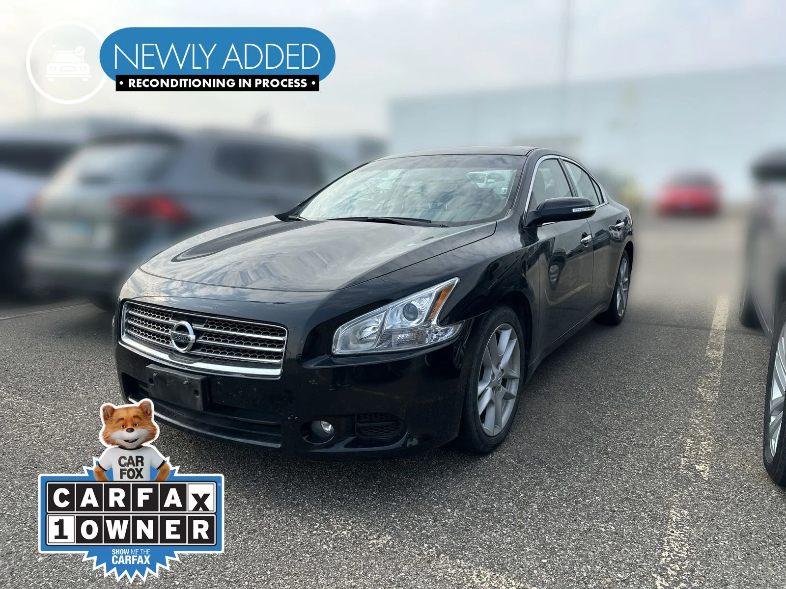 2010 Nissan Maxima 3.5 SV's photo