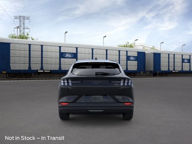 New 2026 Shadow Black Ford Premium image 5