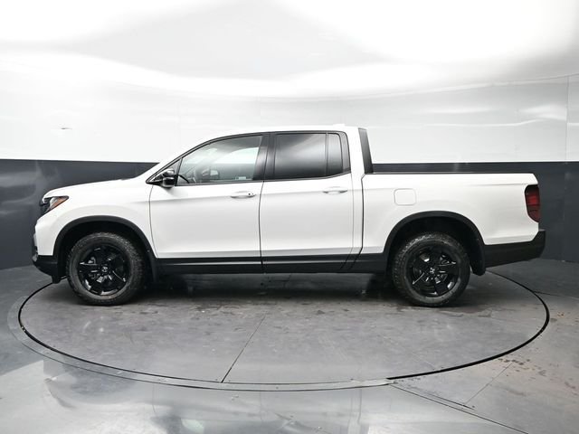 New 2026 Platinum White Pearl Honda Black Edition image 8