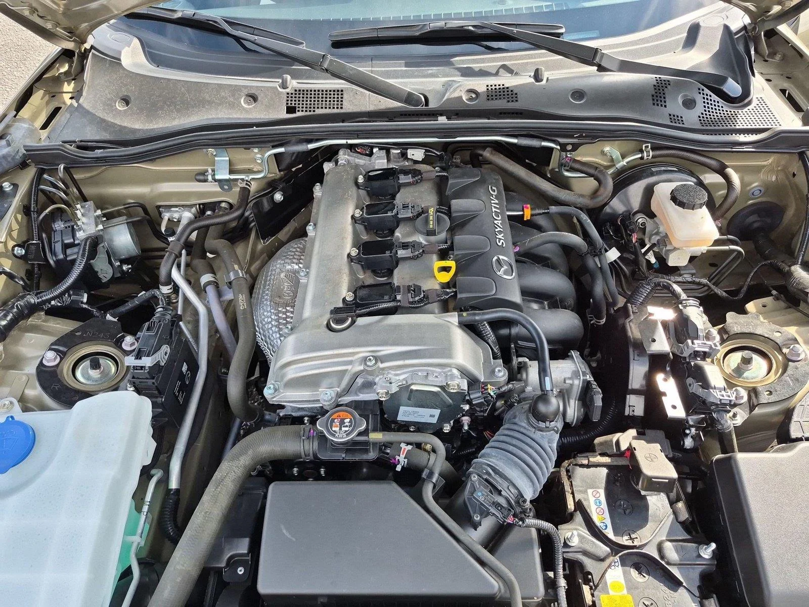 Used 2024  MAZDA GRNDTR image 35