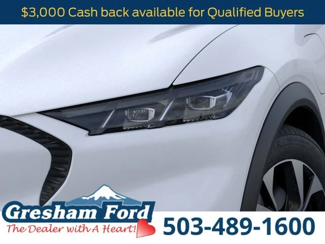 New 2026 White Ford Select image 21
