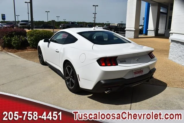 Used 2025 White Ford EcoBoost Fastback image 7