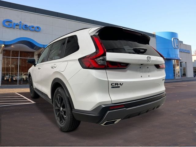 New 2026 Platinum White Pearl Honda Sport image 3