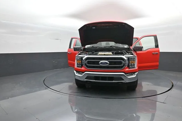 Used 2023 Race Red Ford XLT image 38