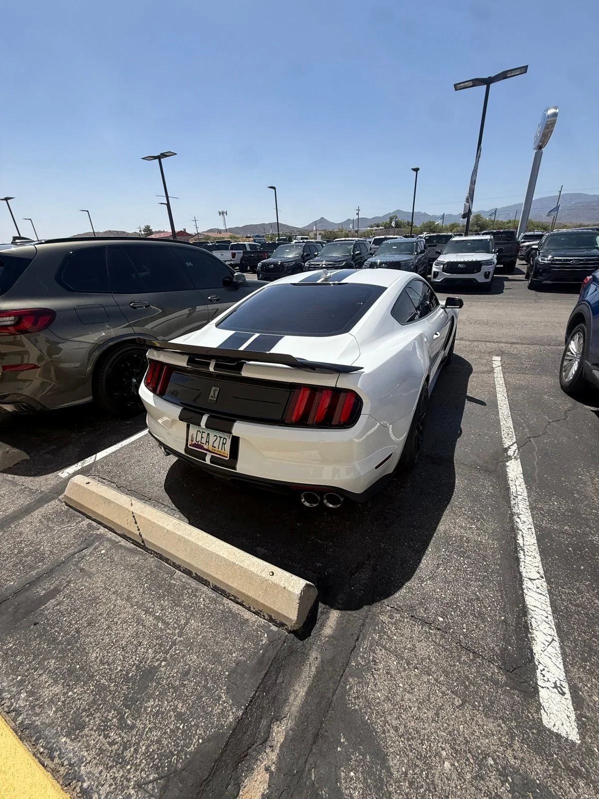 Used 2020 White Ford Shelby GT350 image 5