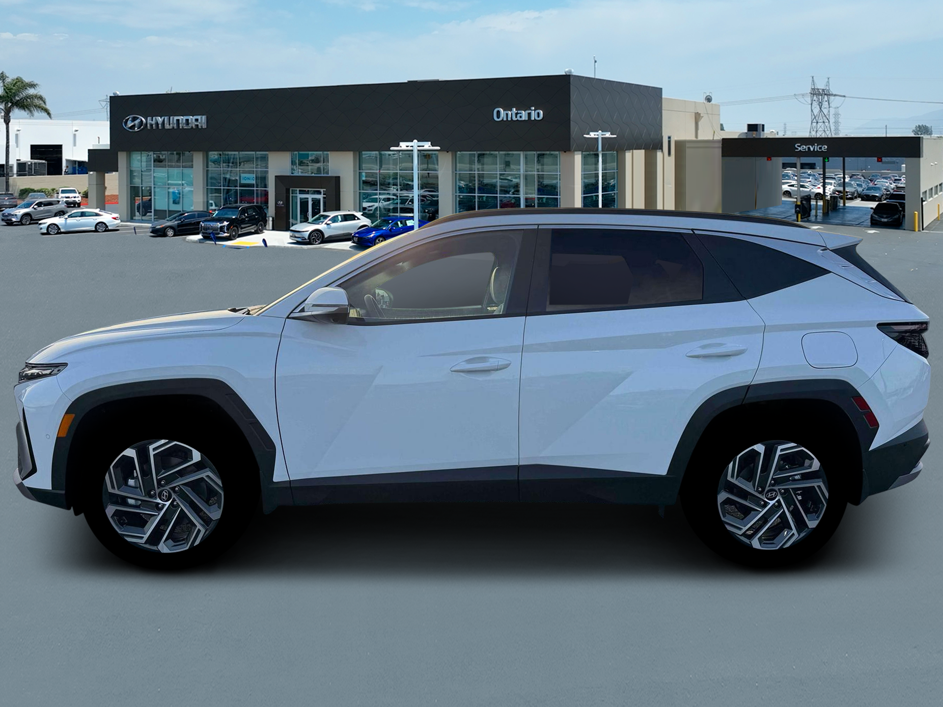 New 2026 Creamy White Pearl Hyundai Limited image 3