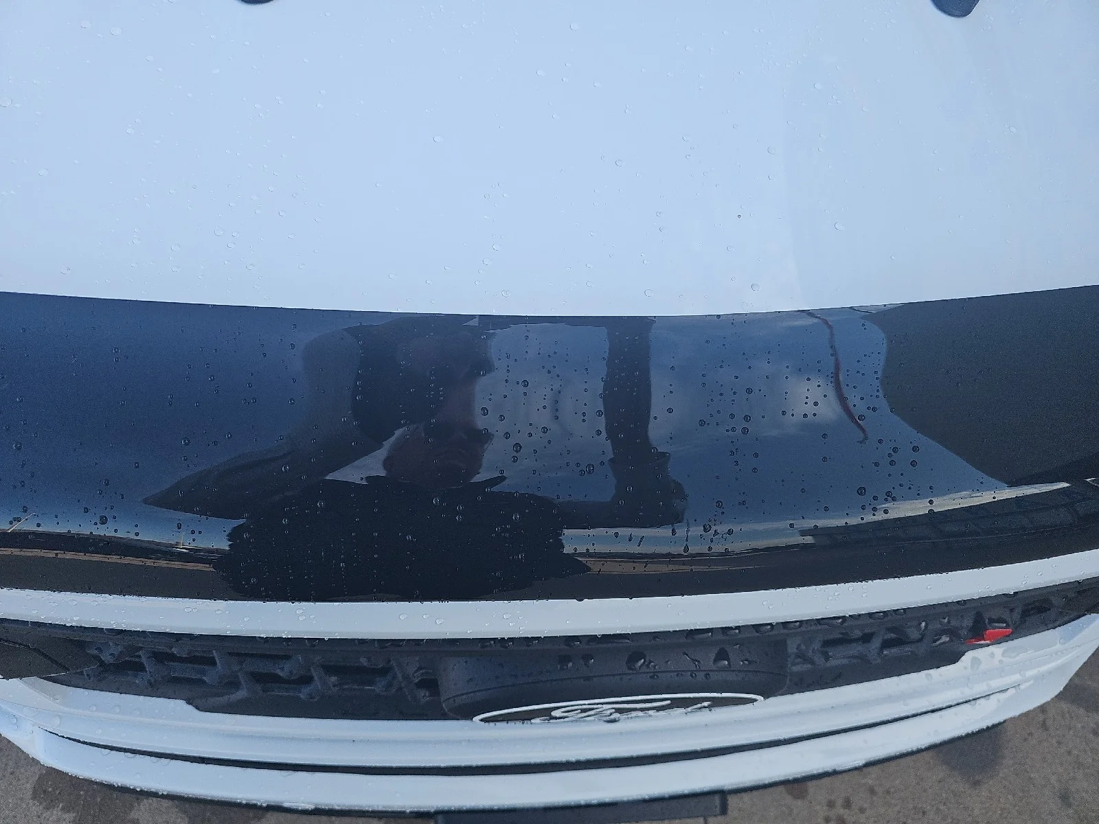 Used 2025 White Ford Black Widow Supercharged image 33