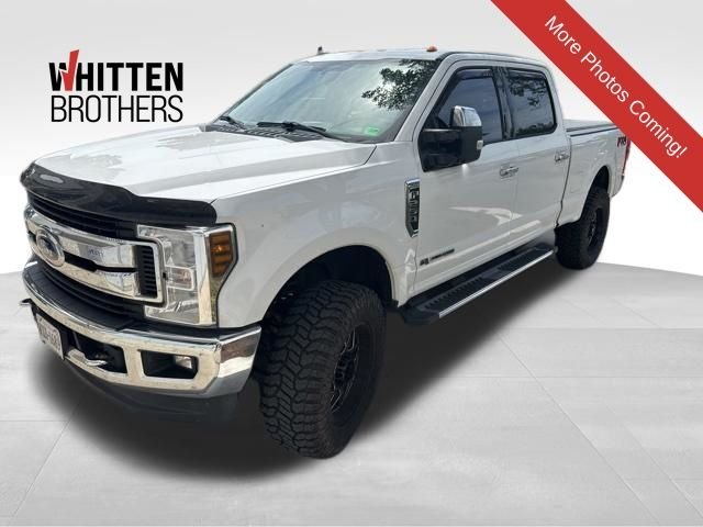 Used 2019 White Ford XLT image 1