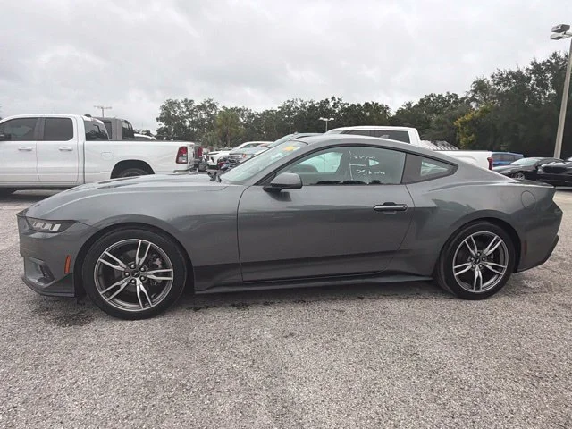 Used 2024 Gray Metallic Ford EcoBoost image 2