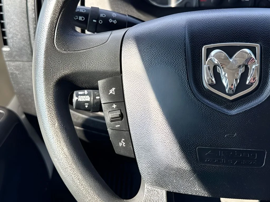 Used 2016 White Ram Low Roof image 12